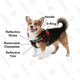 Illustration for article titled Best Dog Harnesses to Keep Your Good Boys (and Girls) Safe